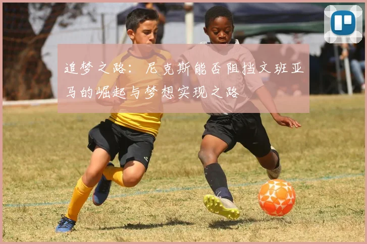 追梦之路：尼克斯能否阻挡文班亚马的崛起与梦想实现之路